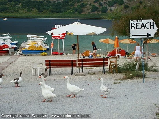 ducks at kournas lake